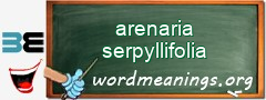 WordMeaning blackboard for arenaria serpyllifolia